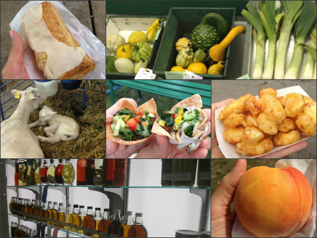2014 Minnesota State Fair Highlights | Tangled Up In Food