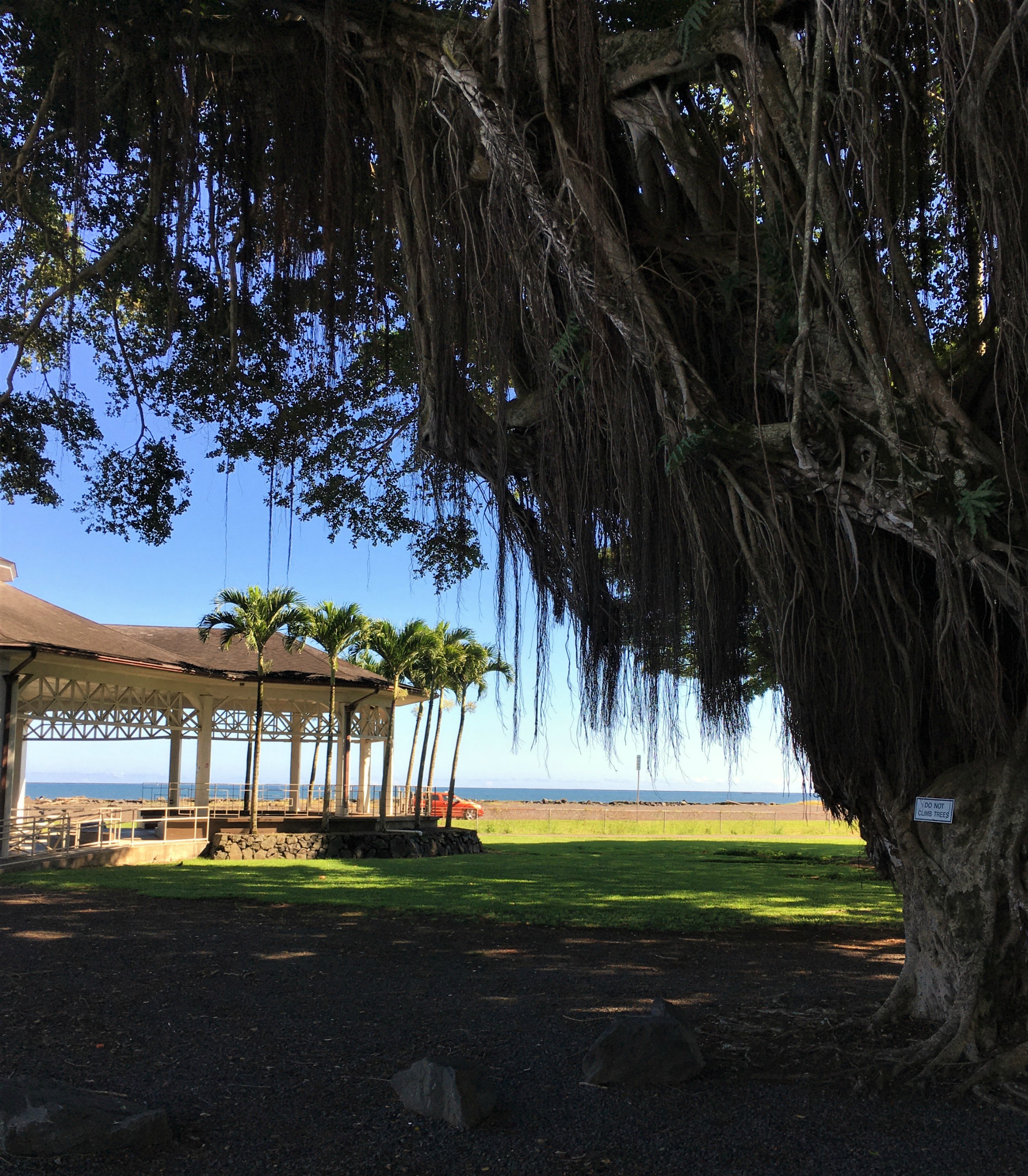 7 low-key things I loved about Hilo, Hawaii