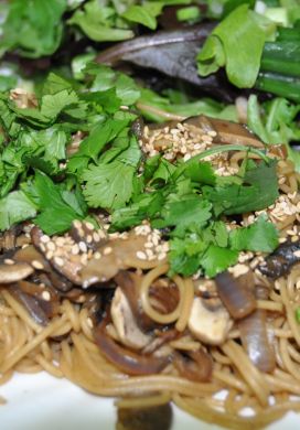 Teriyaki Mushroom Noodles 
