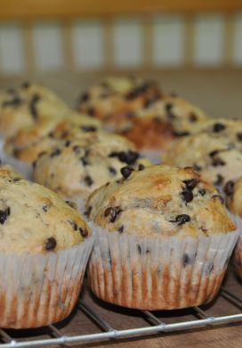 Banana Chocolate Chip Muffins 