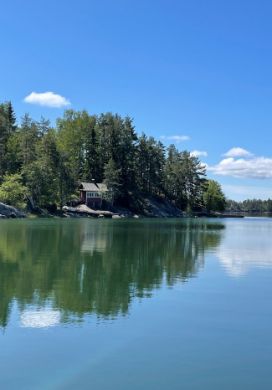 Lake with an island covered with pine trees