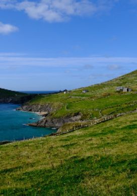 Green pastures sloping down to a rocky coastline