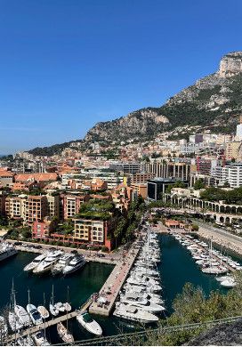 Steep hillside covered with tall buildings with a marina at the bottom