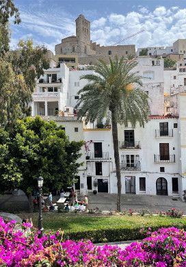 Cathedral on a hill with a palm tree and purple flowers in the foreground