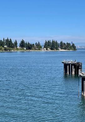 Shoreline with pine trees and a ferry boat