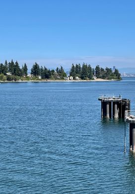 Shoreline with pine trees and a ferry boat