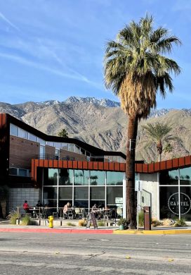 Modern building with palm trees and mountain in background