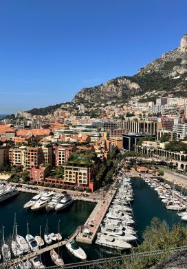 Steep hillside covered with high rises with a port at the bottom