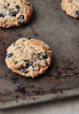 Salted Oatmeal Blueberry Cookies 