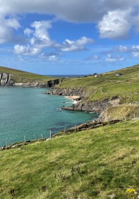 Green grassy hills surrounding an ocean cove with a bright blue sky