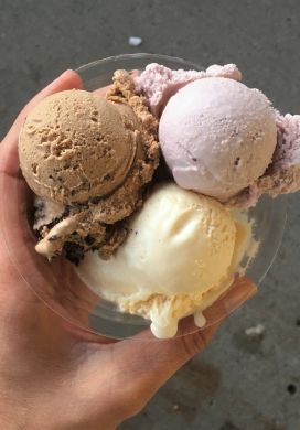 Hand holding plastic dish with three small scoops of ice cream