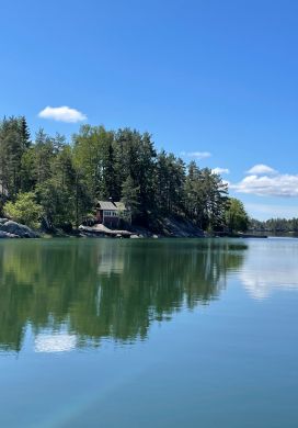 Lake with island covered with pine trees