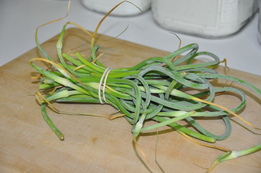 Garlic Scapes