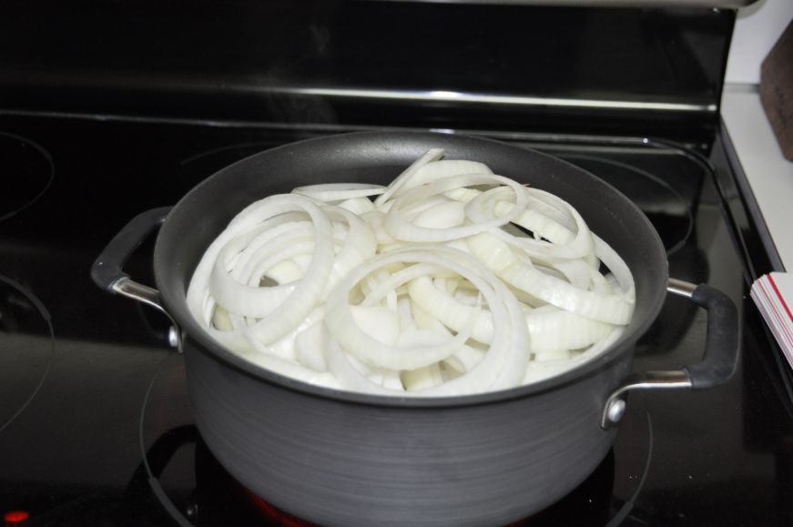 Onions before cooking