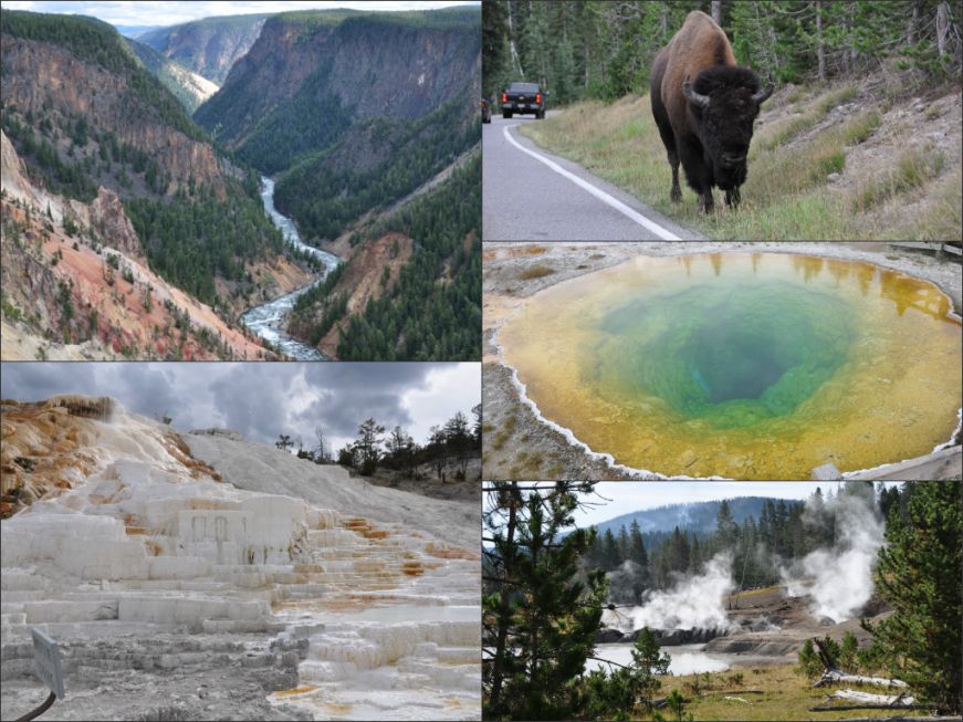 Yellowstone Collage