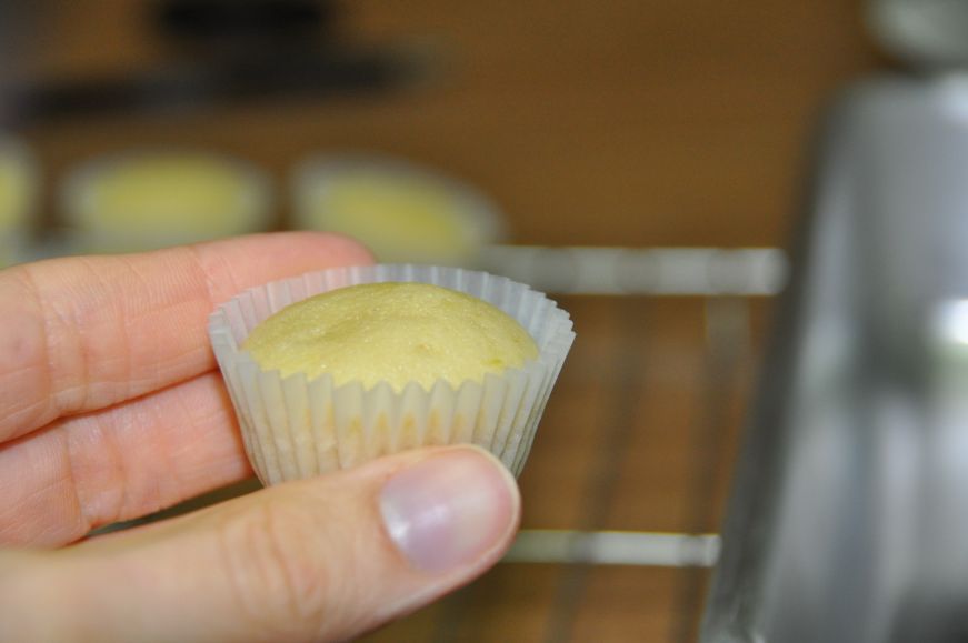 Key Lime Cupcake Before Frosting