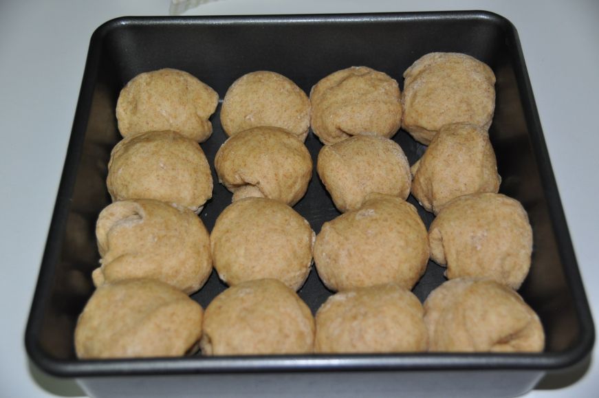 Basic Whole Wheat Rolls After Rising