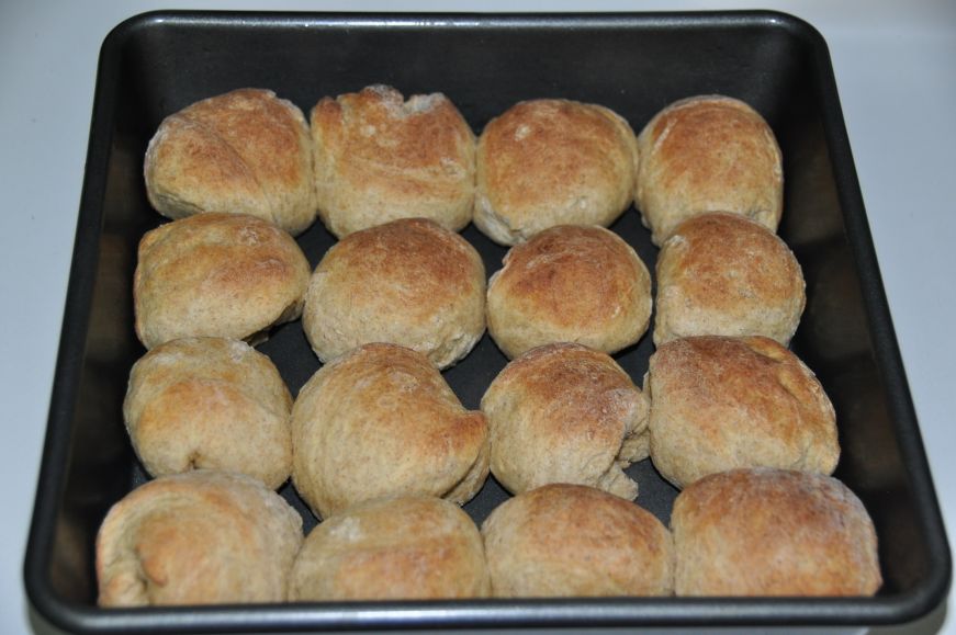 Basic Whole Wheat Rolls 