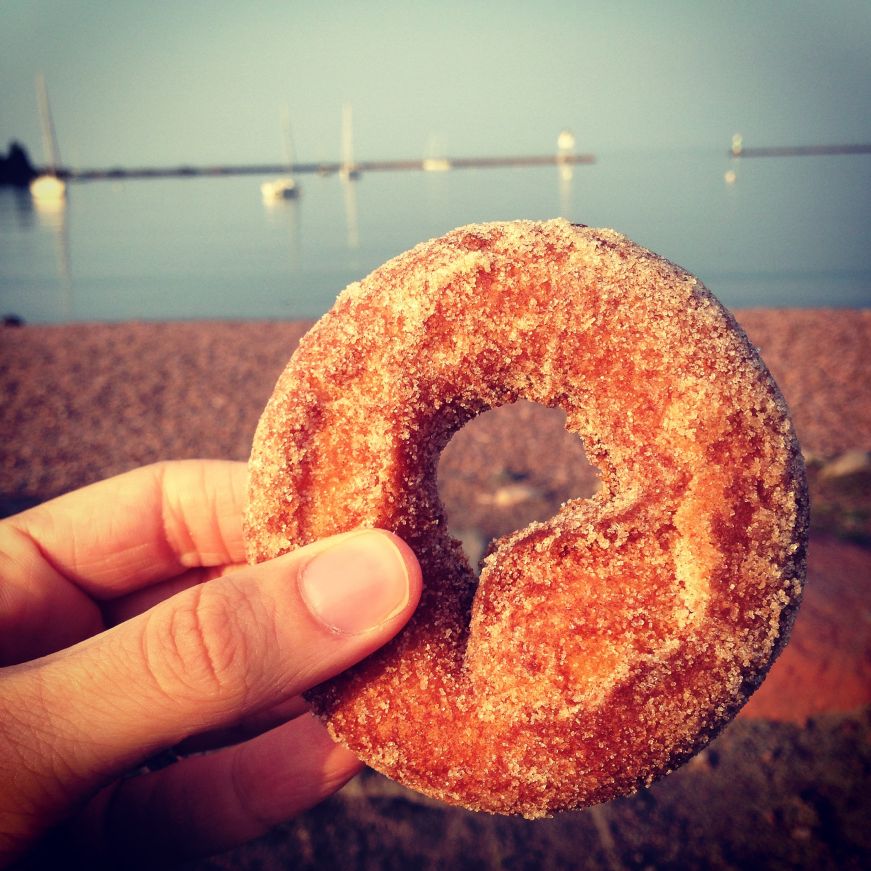 Cinnamon Sugar Cake Donut from the World's Best Donuts