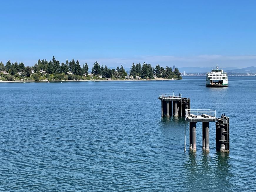 Shoreline with pine trees and a ferry boat