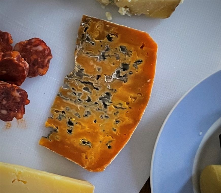 Slice of orange cheese with blue mold