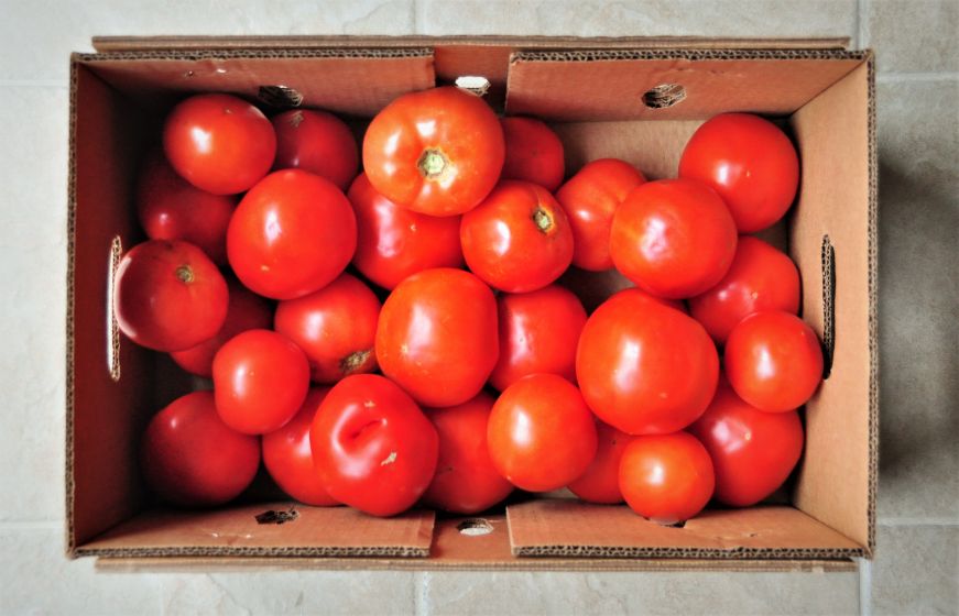 Cardboard box filled with tomatoes