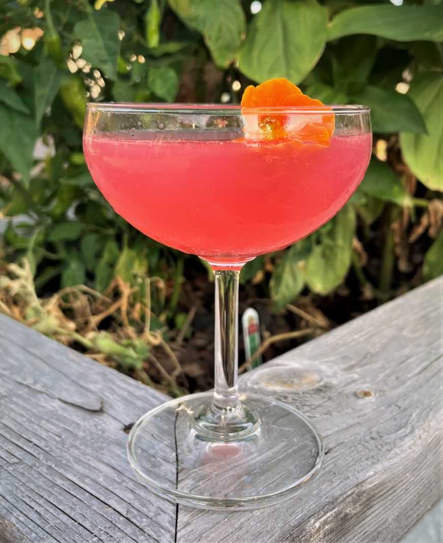 Pink cocktail in a coupe glass garnished with an orange flower with greenery in the background