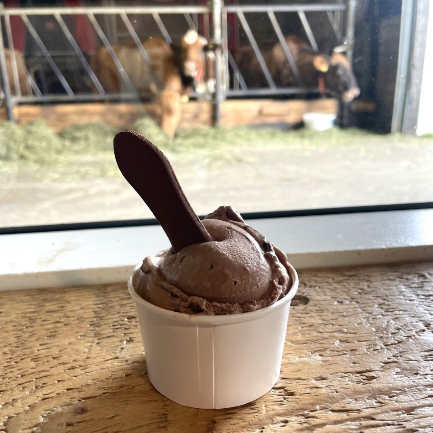 Chocolate licorice ice cream, Efstidalur II Cup of chocolate ice cream in front of a window with cows eating hay on the other side