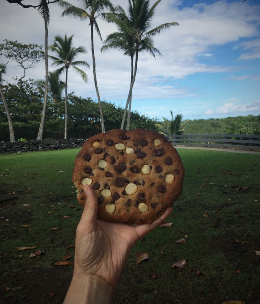 Hand holding chocolate macadamia nut cookie with palm trees in backgroung