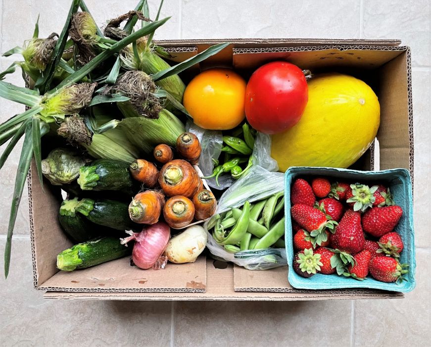 Box filled with produce including corn, strawberries, tomatoes, and melons
