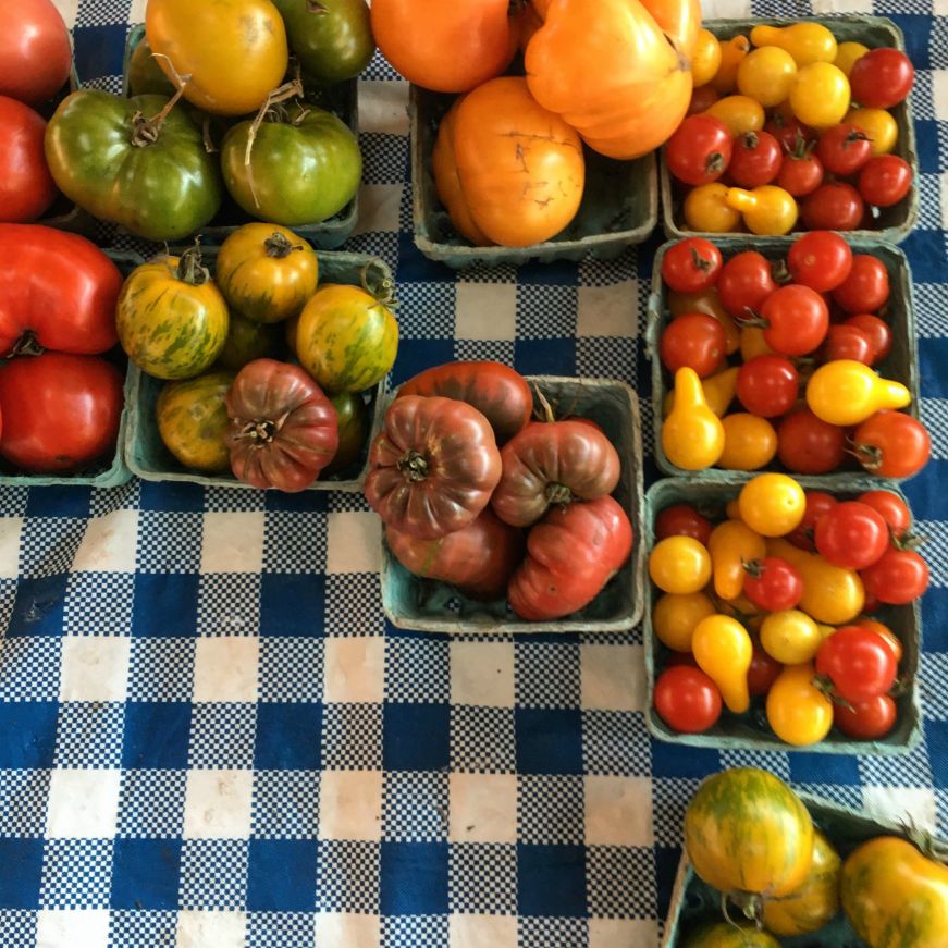 Boxes of multi-colored tomatoes on a gingham tablecloth, St. Paul Farmer's Market