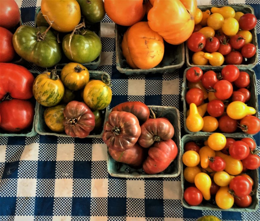Containers of heirloom tomatoes on a gingham tablecloth