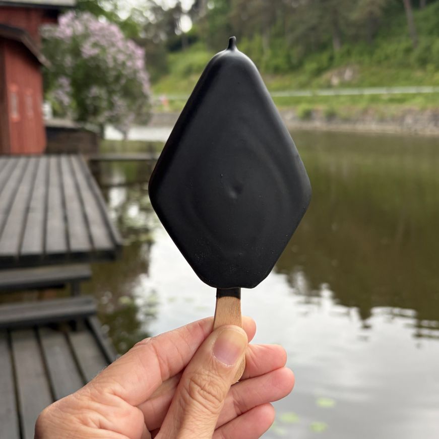 Hand holding a diamond-shaped black ice cream bar with a river in the background