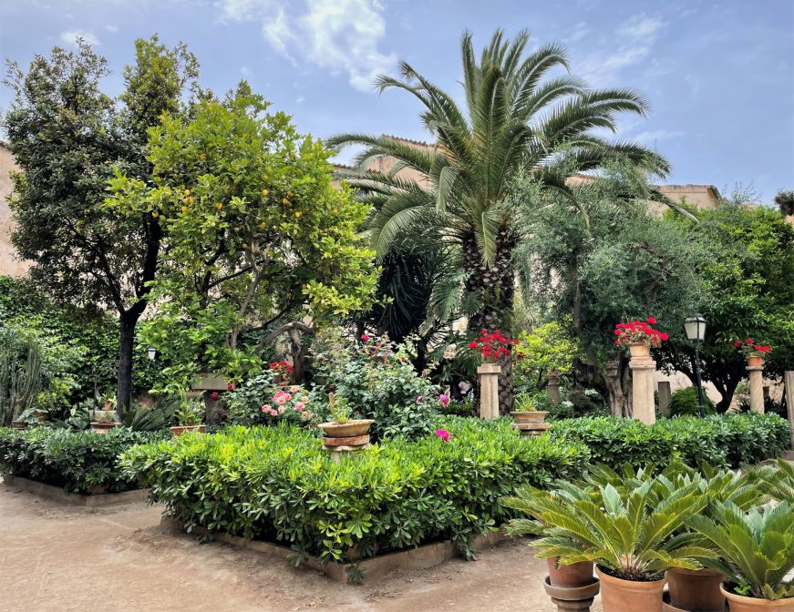 Lush garden with flowers and palm trees