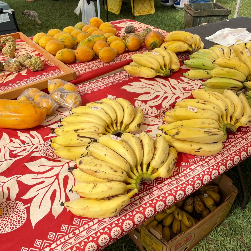 Bananas and other tropical fruit arranged on a table