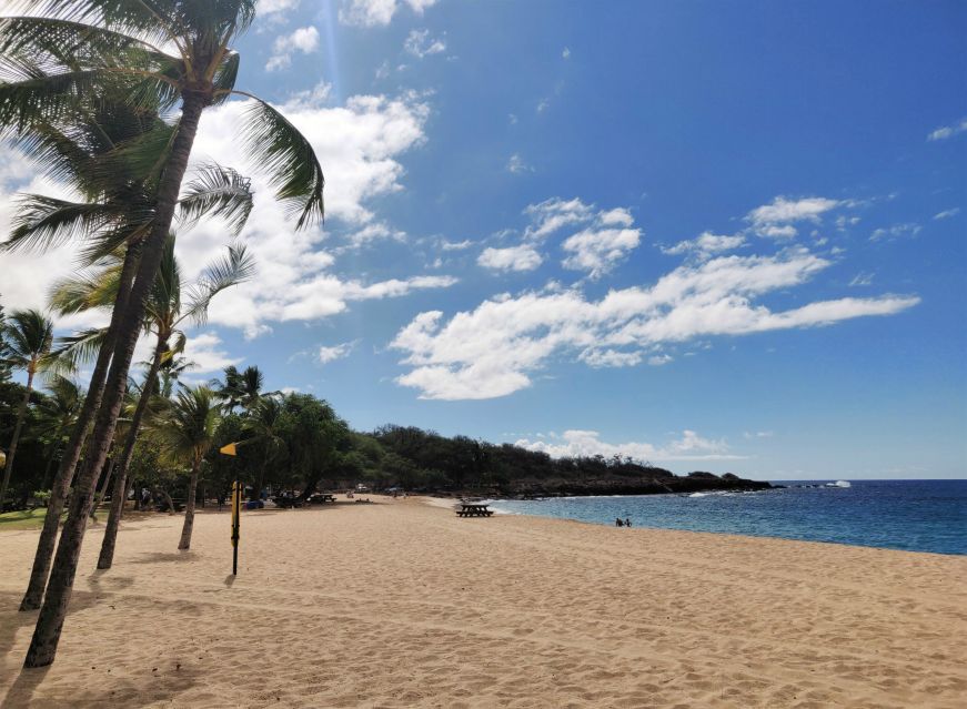 White sandy beach with palm trees and a few people, Hulopoe Beach, Lanai