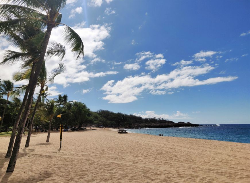 White sandy beach with palm trees and a few people, Hulopoe Beach, Lanai