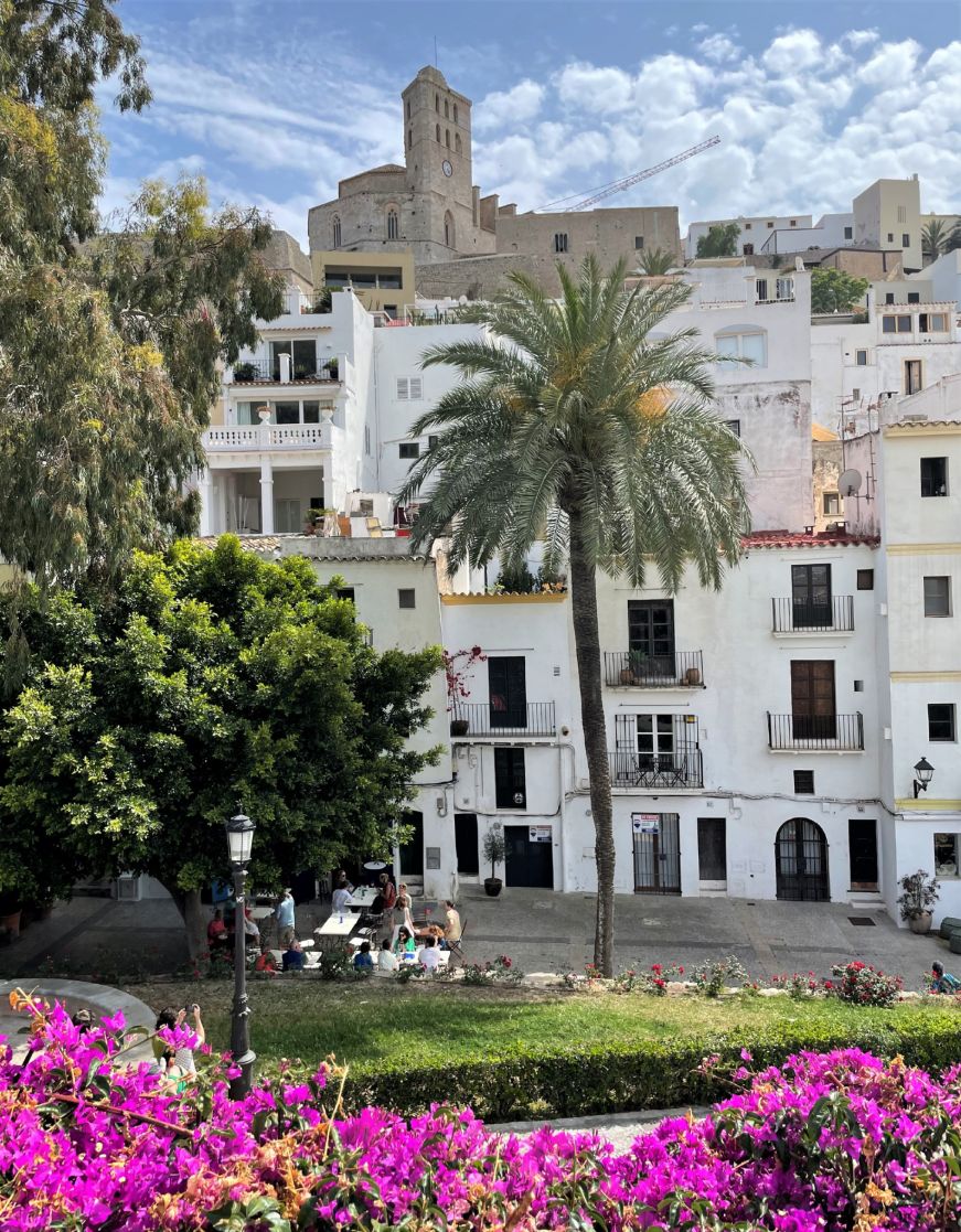 Cathedral on top a hill in the background with palm trees, purple flowers, and an elegant white building in the foreground