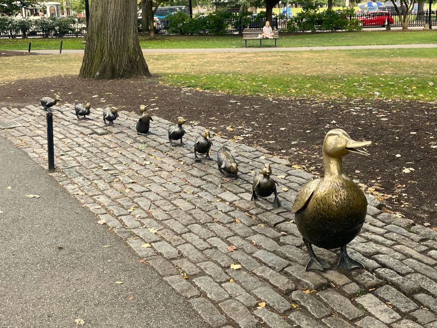 Make Way for Ducklings statue at Boston Public Garden Statue of a mother duck with eight ducklings trailing behind