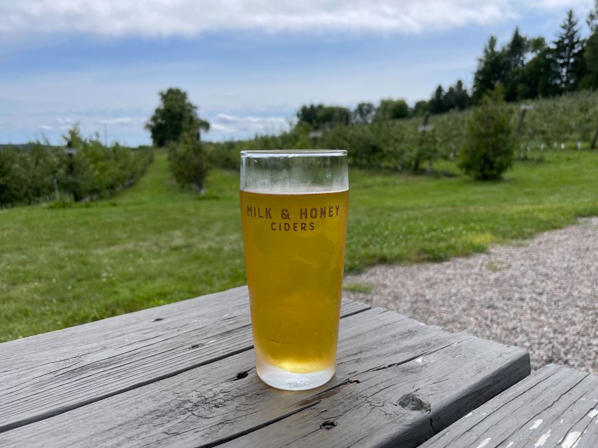Glass of cider sitting on a picnic table with apple orchard in the background