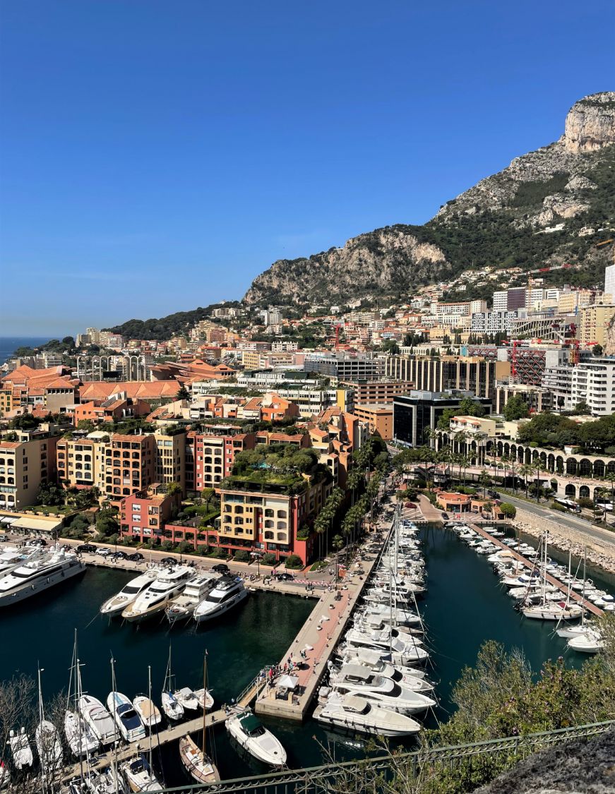 Steep hillside with high rise buildings and a harbor at the bottom