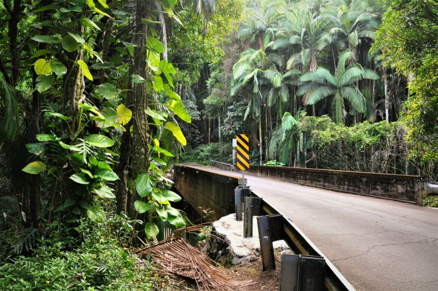 One late bridge with lush tropical trees and greenery, Old Mamalahoa Highway, Hawaii