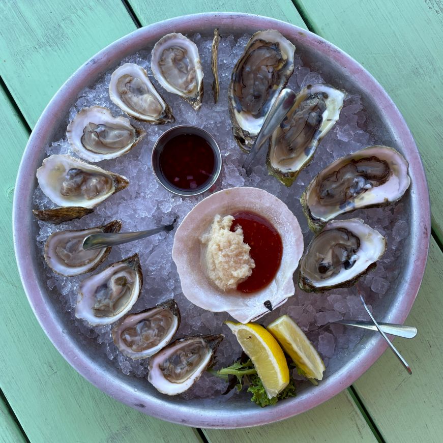 Top down view of a dozen oysters in a platter of crushed ice