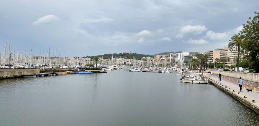 Marina filled with yachts with a pathway along the edge