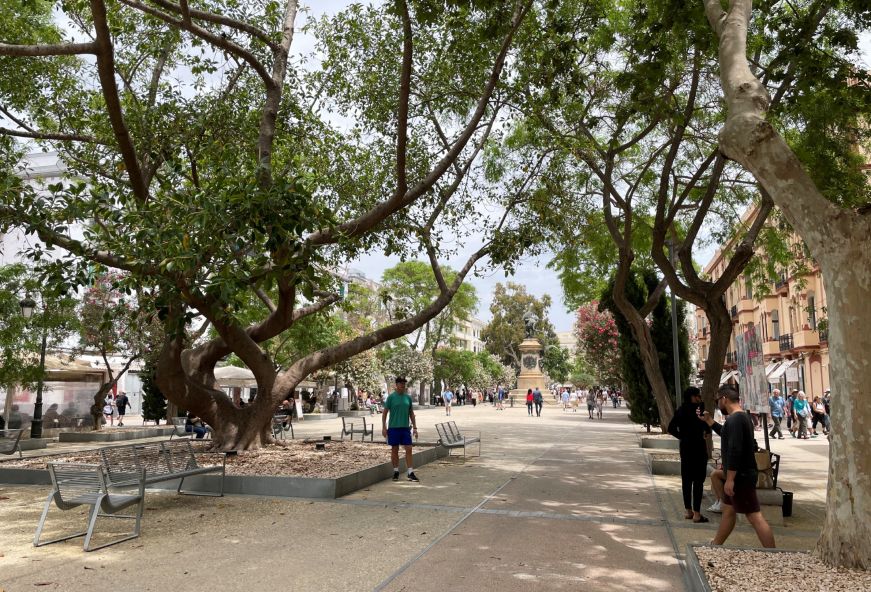 Pedestrian avenue lined with large leafy trees