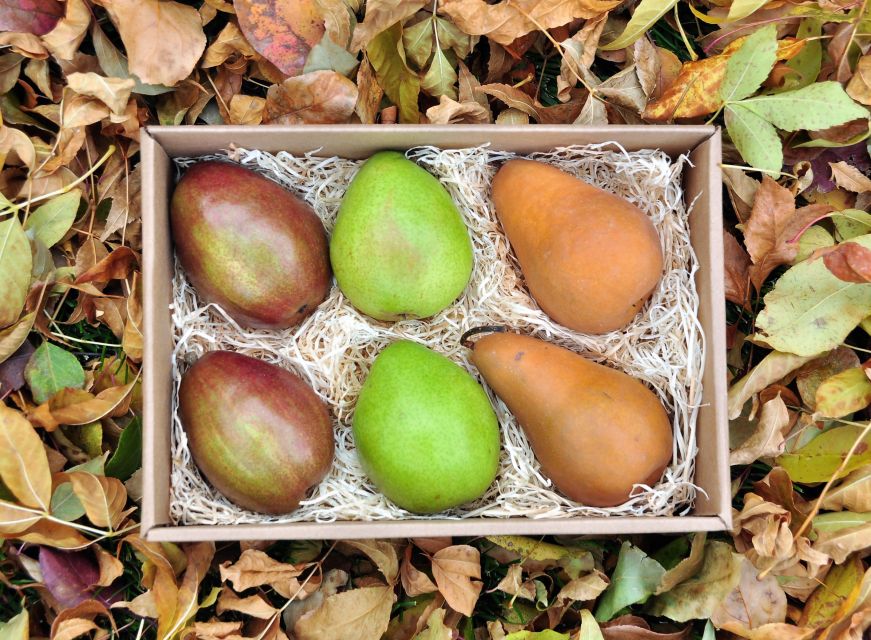 Box of pears with fall foliage