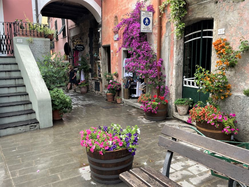 Pedestrian street with flowers