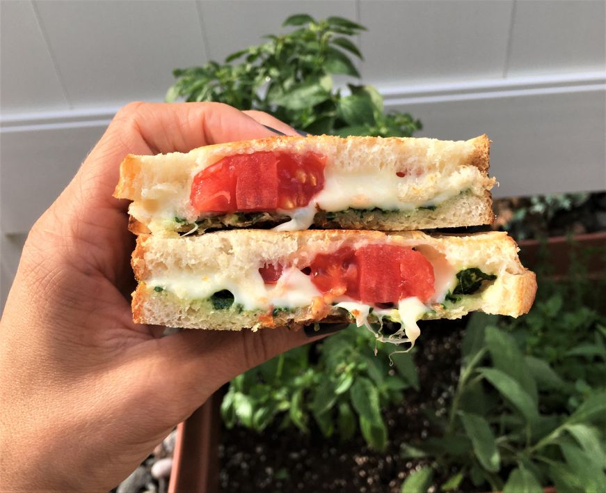 Hand holding a grilled cheese sandwich with sliced tomato and pesto