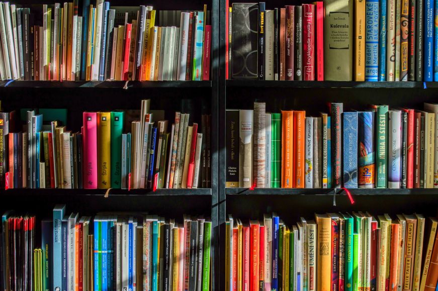 Shelf of colorful books