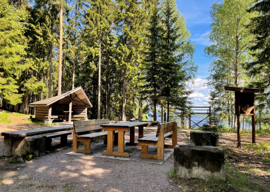 Picnic table in a forest